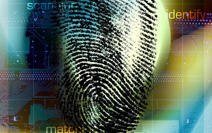 An image of a fingerprint on a screen